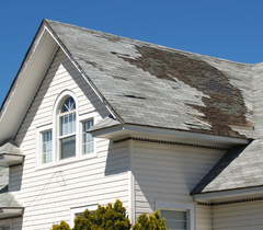 Flat Roof Repair in Harlingen, Emergency Roof Leak Repair in Harlingen, Roof Leak Detection in Harlingen, Roof Leak Repair Services in Harlingen, Skylight Repair in Harlingen, Repair Roof Shingle in Harlingen, Best Roof Leak Fixes in Harlingen, Water Damage Repair in Harlingen, Roof Valley Repair in Harlingen, Roof Flashing Repair in Harlingen, Removing Moss on Roof in Harlingen, Roof Buckling in Harlingen, Roof Vent Boot Repair in Harlingen, Soffit Replacement in Harlingen, Sagging Roof Repair in Harlingen, Roof Blistering in Harlingen, Ice Dam Prevention in Harlingen, Attic Insulation in Harlingen, Hail Proof Roof in Harlingen, Roof Blistering in Harlingen