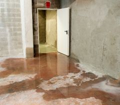 Roof Leak Repair Services in Harlingen, Roof Leak Detection in Harlingen, Emergency Roof Leak Repair in Harlingen, Best Roof Leak Fixes in Harlingen, Repair Roof Shingle in Harlingen, Skylight Repair in Harlingen, Flat Roof Repair in Harlingen, Water Damage Repair in Harlingen, Roof Flashing Repair in Harlingen, Roof Valley Repair in Harlingen, Removing Moss on Roof in Harlingen, Roof Buckling in Harlingen, Soffit Replacement in Harlingen, Roof Vent Boot Repair in Harlingen, Sagging Roof Repair in Harlingen, Roof Blistering in Harlingen, Ice Dam Prevention in Harlingen, Attic Insulation in Harlingen, Hail Proof Roof in Harlingen, Repairing roofing felt in Harlingen